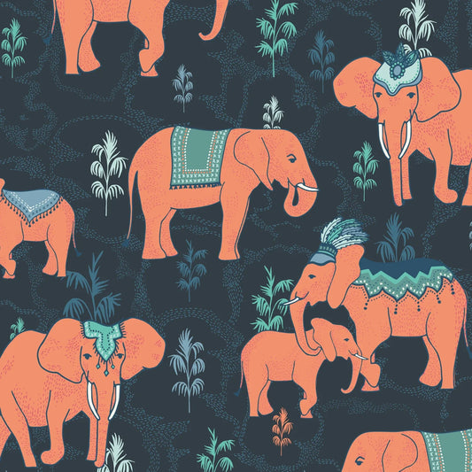 Jaipur - Jaipur Elephant